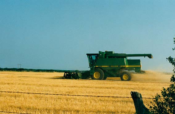 Tractor in field at McKnight Ranch