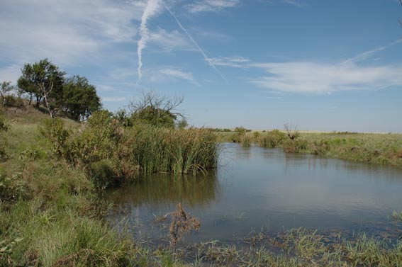 Pond at McKnight Ranch