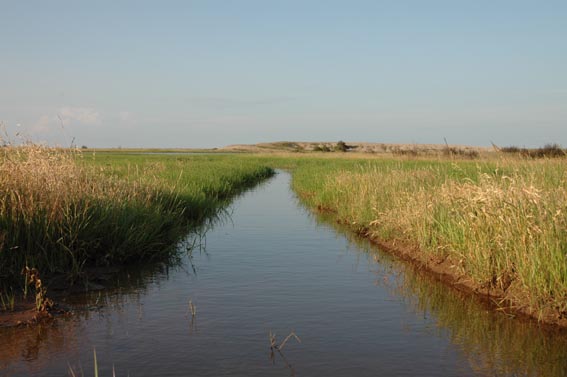 Creek at McKnight Ranch