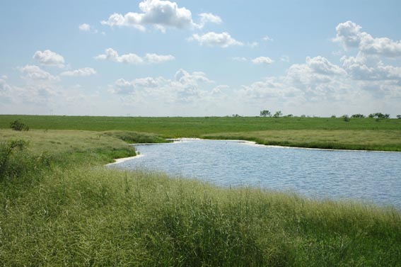 Pond at McKnight Ranch