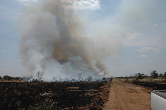 View from road of controlled burn in field at McKnight Ranch.