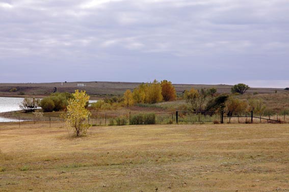 Field at McKnight Ranch during Fall.