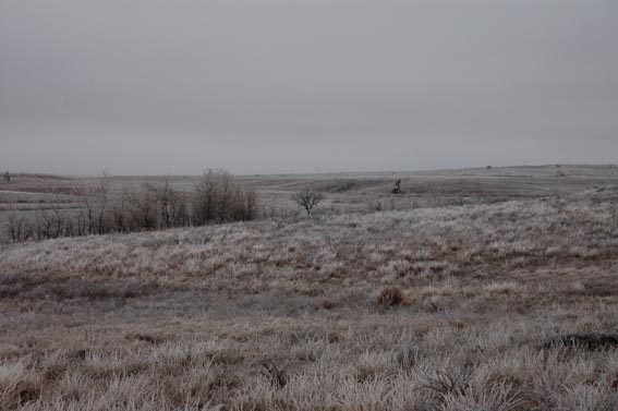 Wintry field at McKnight Ranch