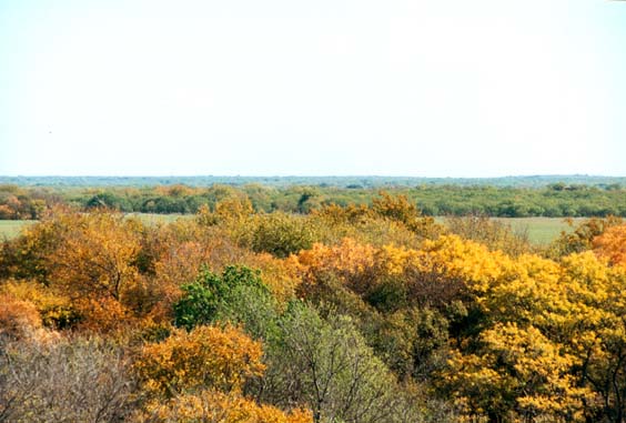 Trees turning colors during Fall at McKnight Ranch