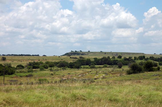 Rolling hills and fields at McKnight Ranch south