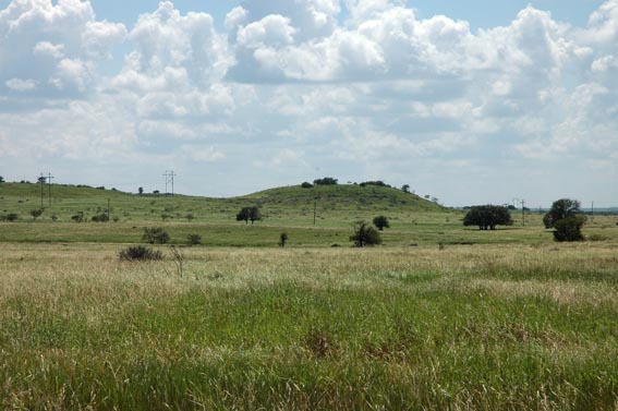 Field with thill at McKnight Ranch south