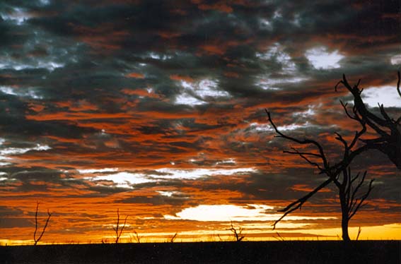 Sunset at McKnight Ranch