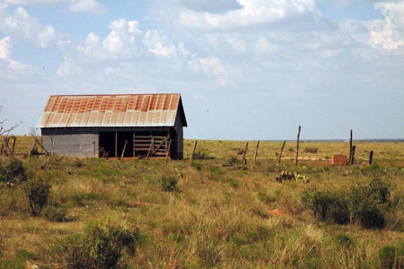 Swenson scenes at McKnight Ranch 5