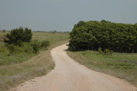 Swenson scenes at McKnight Ranch 6